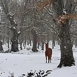Séjour à la campagne Rincon