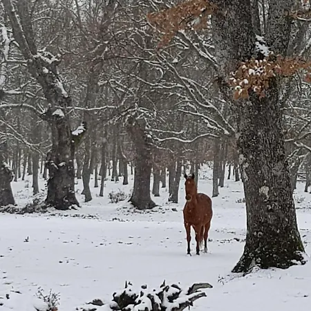 Εξοχικό σπίτι Rincon