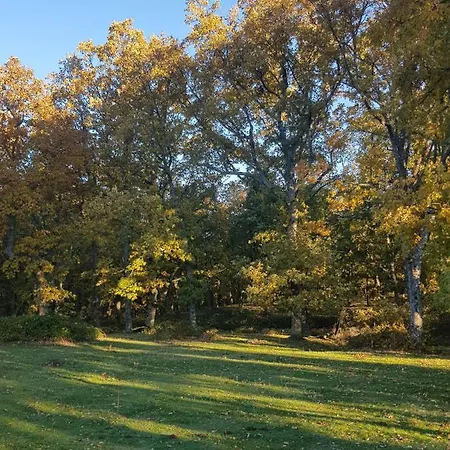 Rincón Casa de Campo *