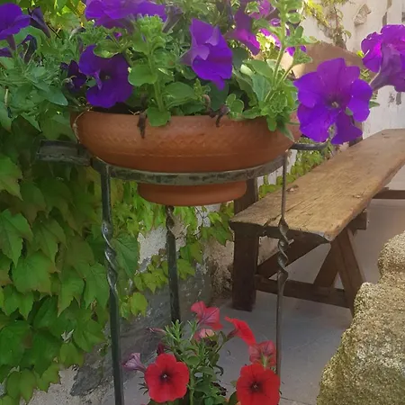 Rincon Country house