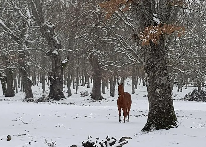 컨트리하우스 Rincon
