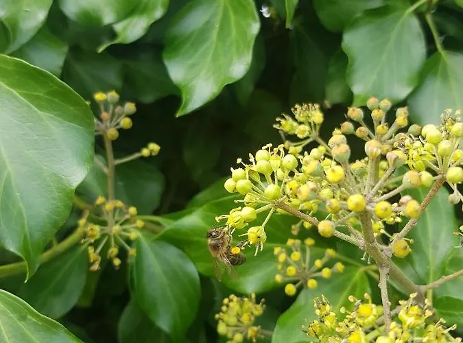 Rincon 컨트리하우스 *