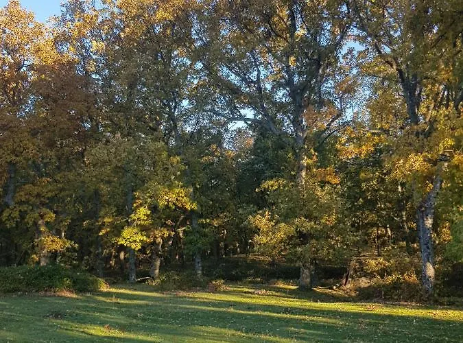 Rincon 컨트리하우스 *