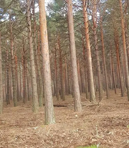 컨트리하우스 Rincon *