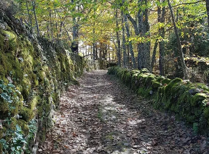 컨트리하우스 Rincon *