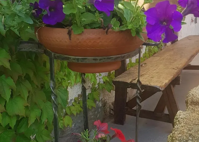 Rincon 컨트리하우스