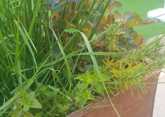 Rincon 컨트리하우스 *